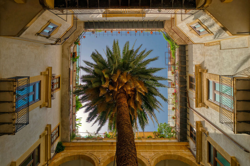 internal courtyard of Palazzo Castrone - Garden of S. Ninfa in Palermo, with a central palm tree