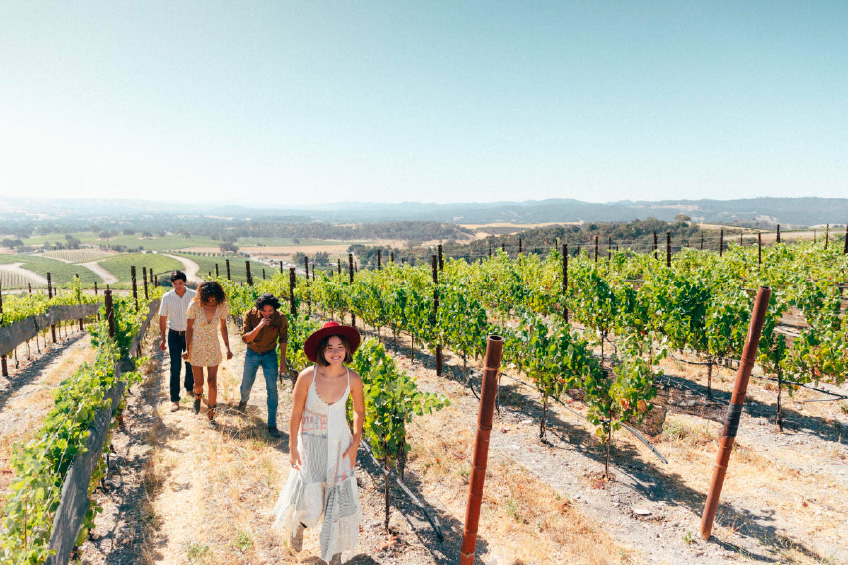 people walking in a vineyard