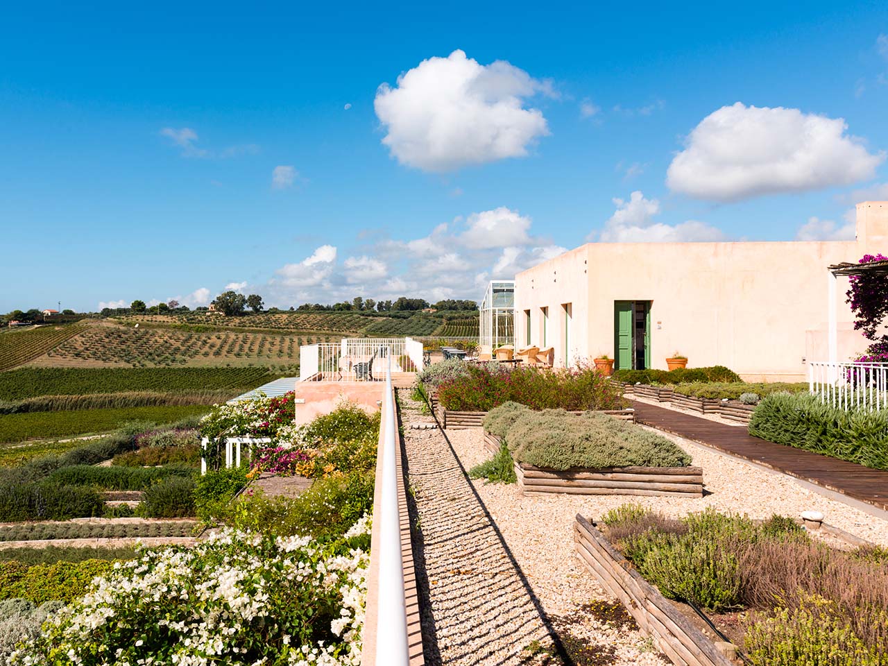 terraces of the Foresteria Planeta