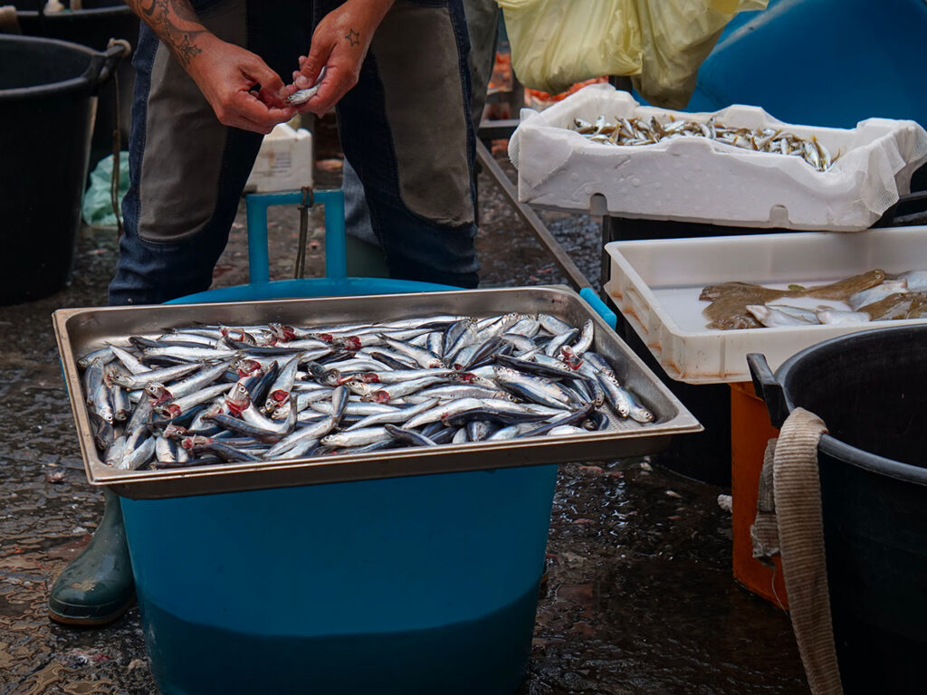 man cleaning sardines at the fish market