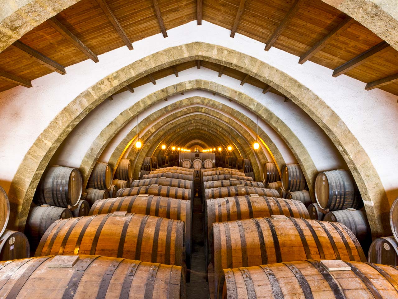 barrels in a cellar with acute vaults