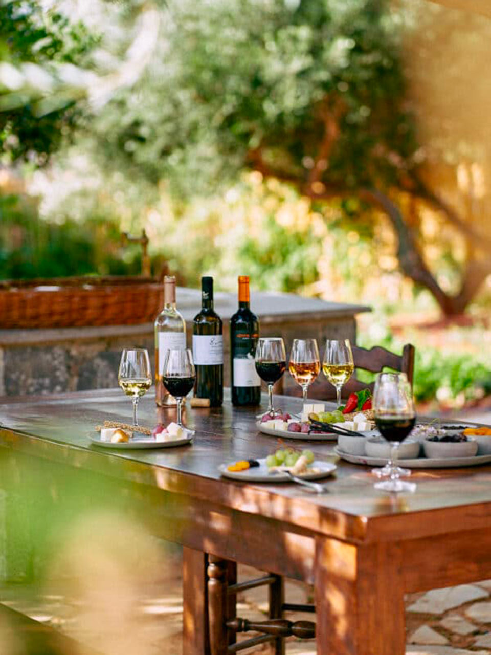 outdoor table with bottles of wine, glasses and typical products for tasting